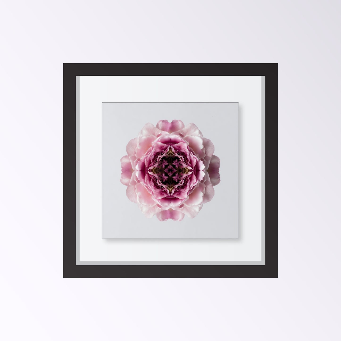Blush Rose print – delicate pink layered petals in symmetry, romantic floral wall art framed black