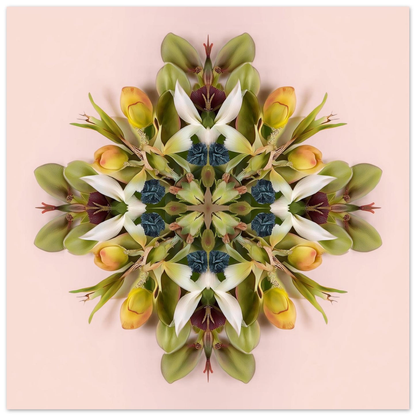 Floral Mandala print – green and pink blooms arranged in a circular kaleidoscope, modern floral wall art  close up