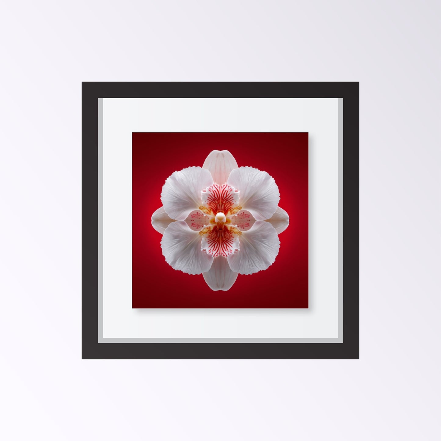 Scarlet Bloom print – bold red backdrop with white orchid in mirrored form, dramatic botanical artwork framed black