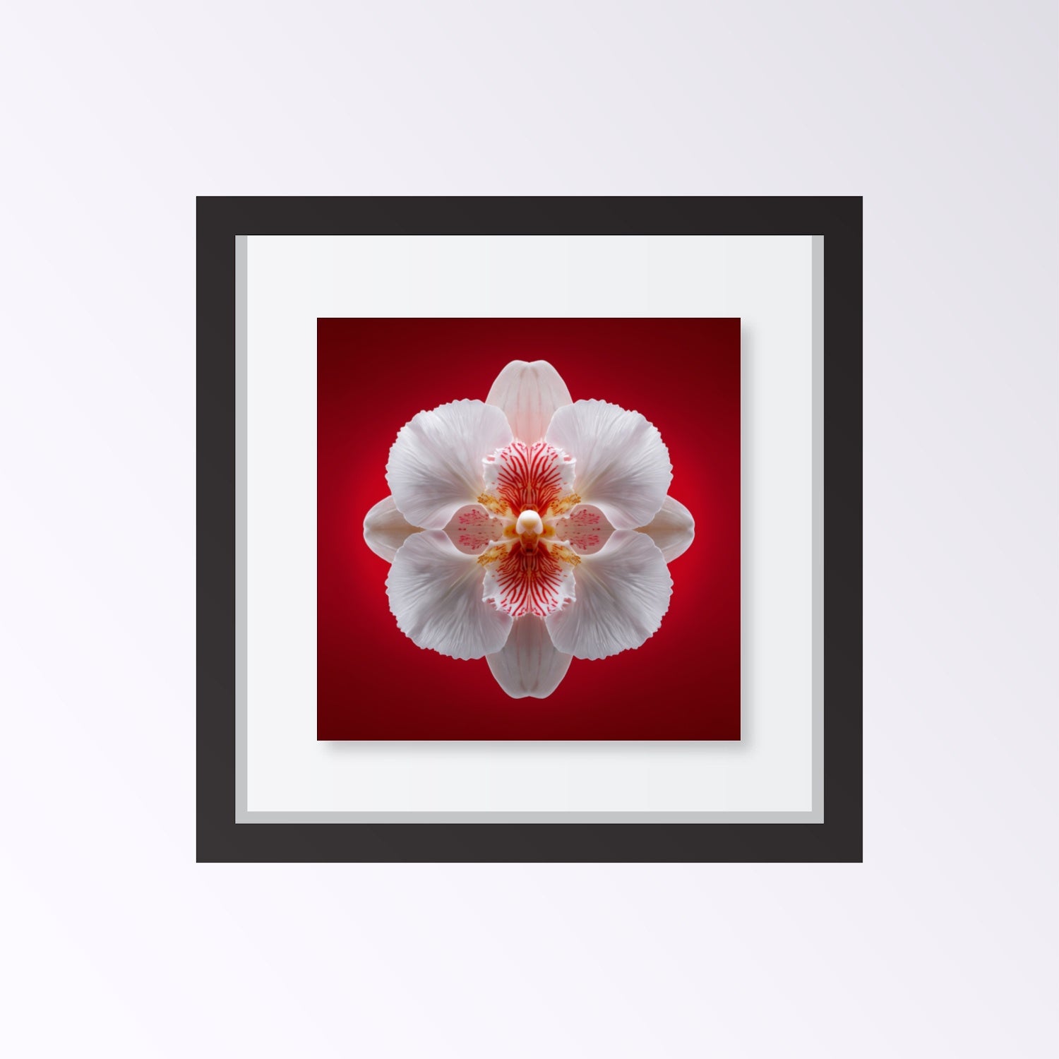 Scarlet Bloom print – bold red backdrop with white orchid in mirrored form, dramatic botanical artwork framed black