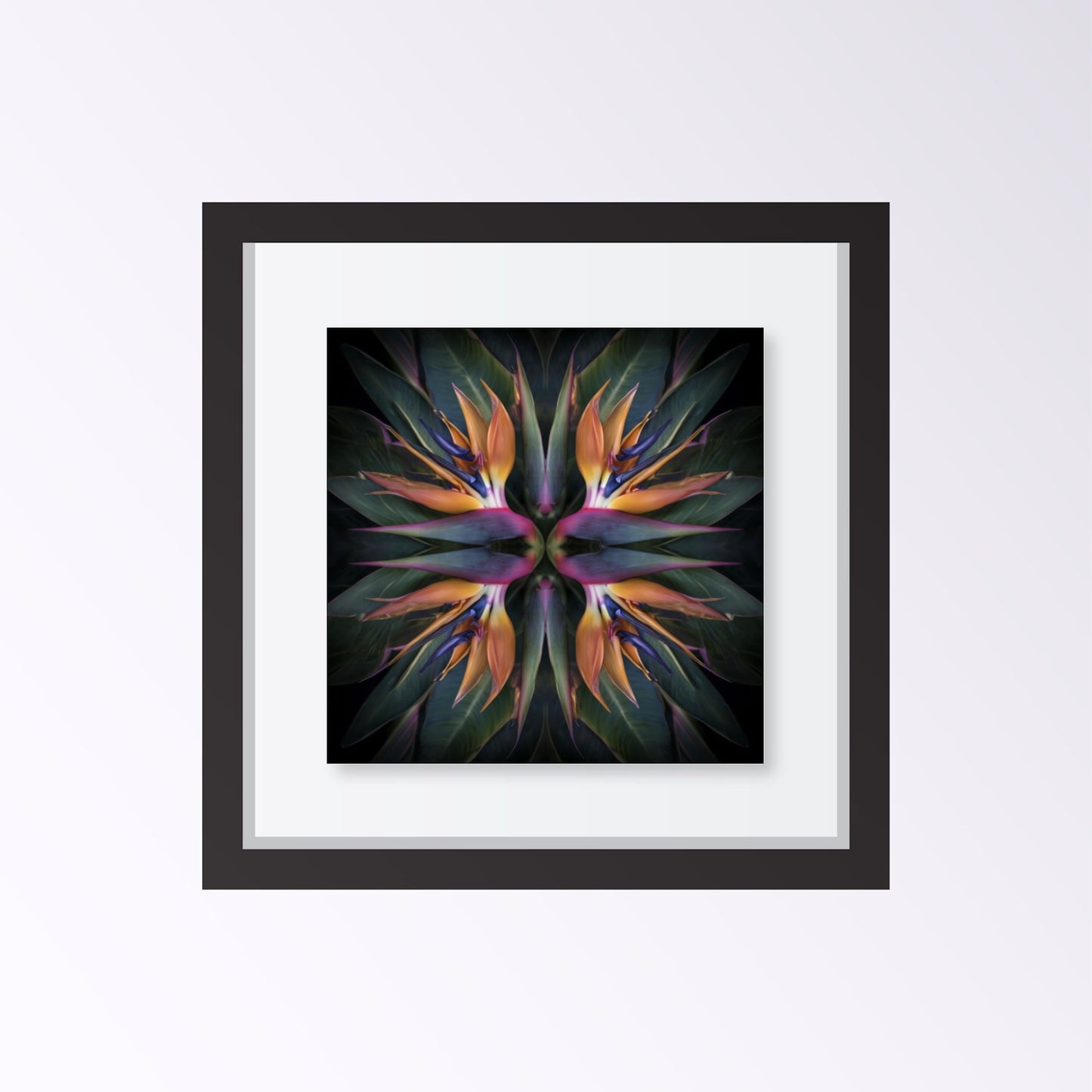 Exotic Bloom artwork – orange and pink birds of paradise tropical petals forming symmetrical pattern, botanical home decor framed black