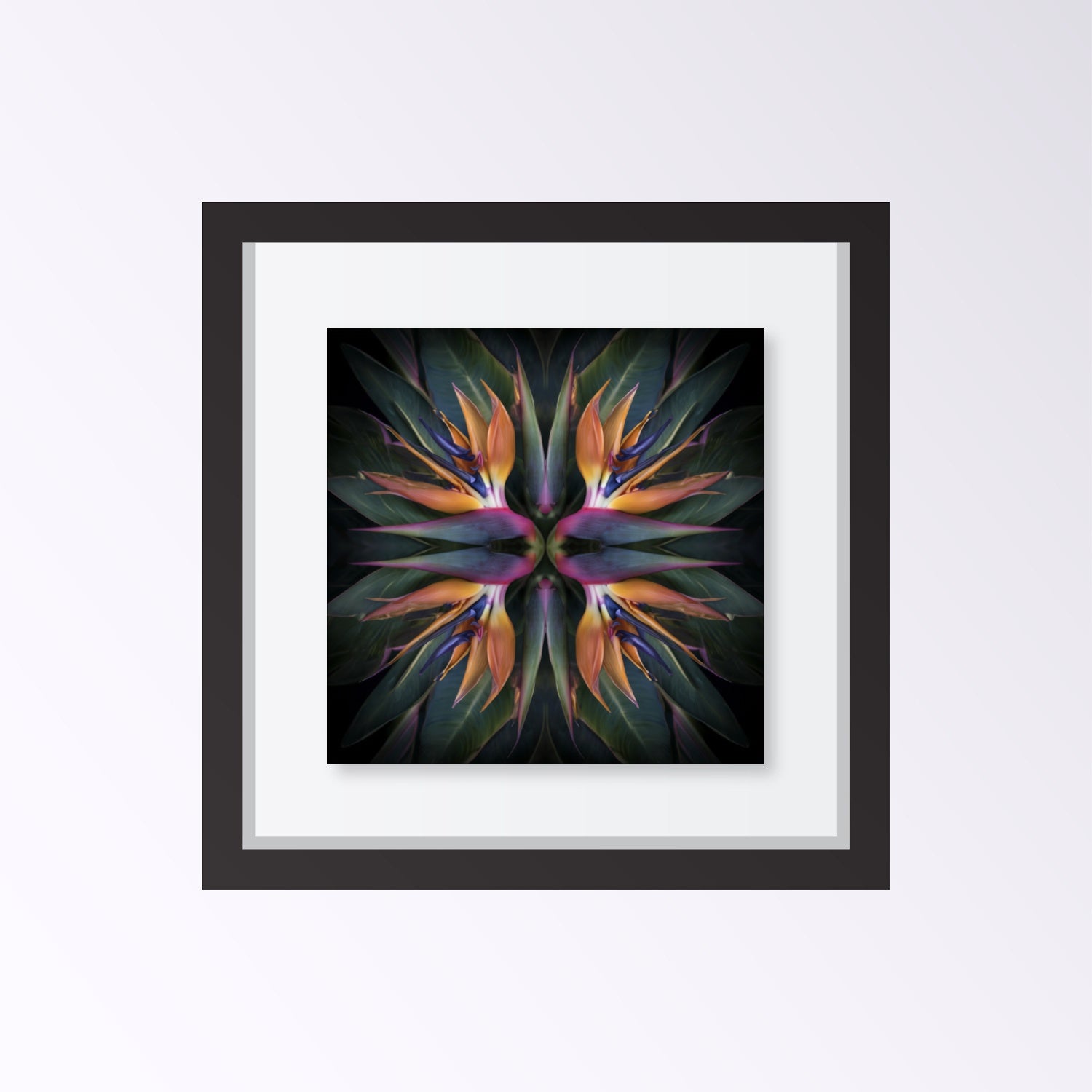 Exotic Bloom artwork – orange and pink birds of paradise tropical petals forming symmetrical pattern, botanical home decor framed black