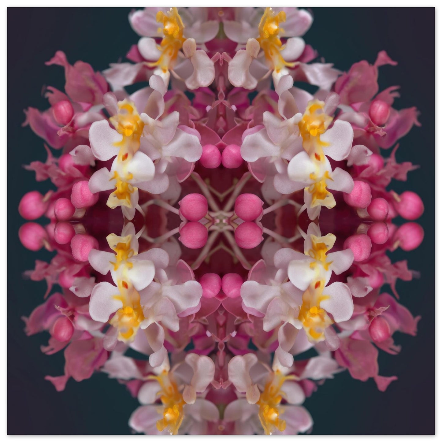 Orchid Haze wall art – soft pink and yellow orchids blurred in dreamy symmetry, elegant floral print close up