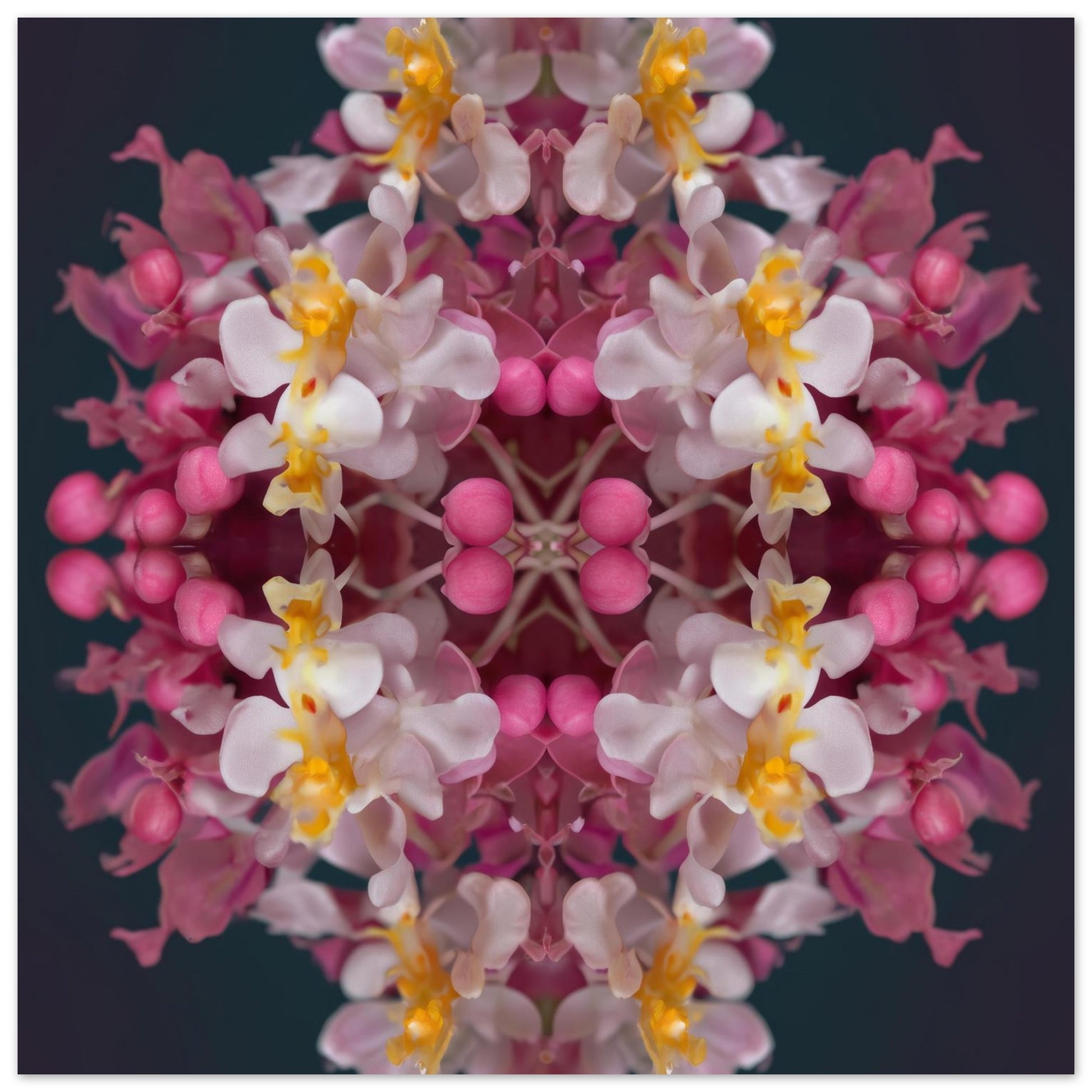 Orchid Haze wall art – soft pink and yellow orchids blurred in dreamy symmetry, elegant floral print close up