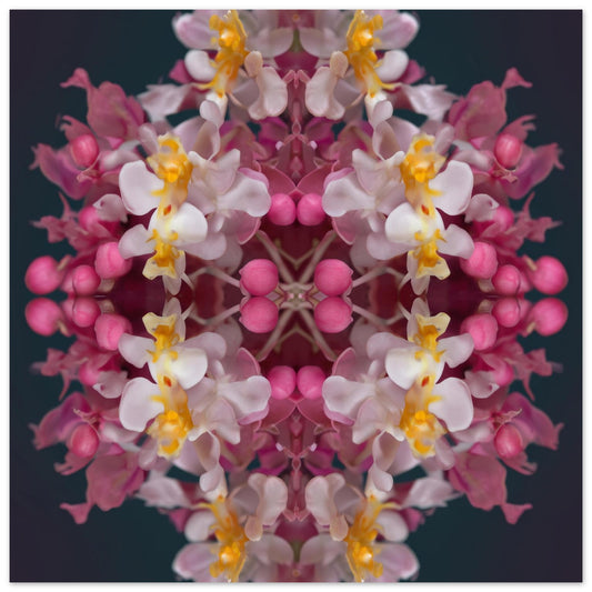 Orchid Haze wall art – soft pink and yellow orchids blurred in dreamy symmetry, elegant floral print close up