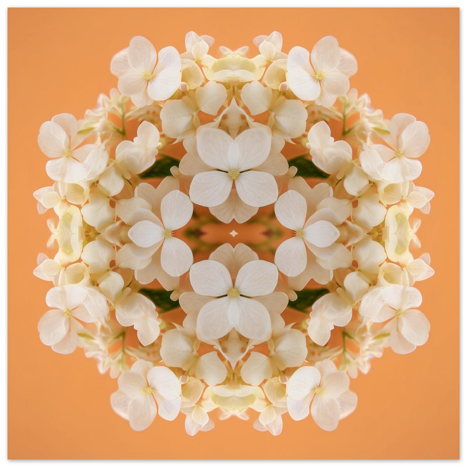 Soft Peach & Cream Blossom art print – delicate pastel petals in symmetry, romantic kaleidoscopic floral wall art close up