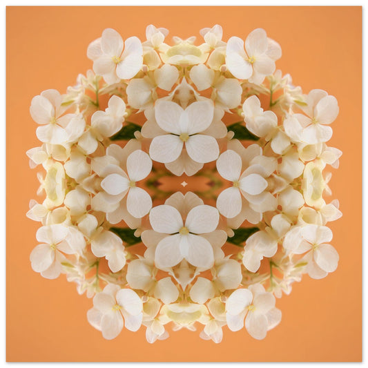 Soft Peach & Cream Blossom art print – delicate pastel petals in symmetry, romantic kaleidoscopic floral wall art close up