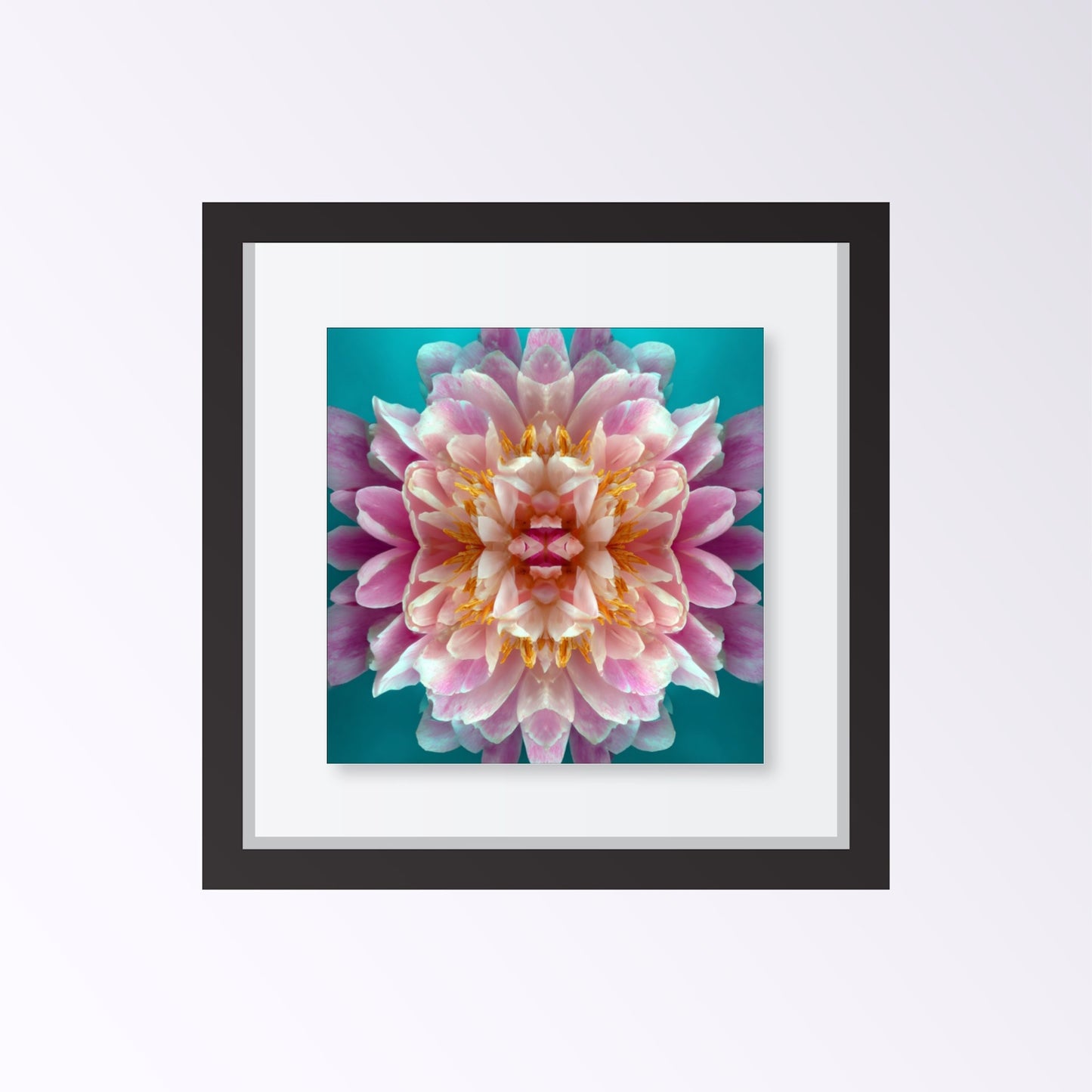 Peony in Aqua print – bold pink peonies on turquoise backdrop, striking floral artwork framed black