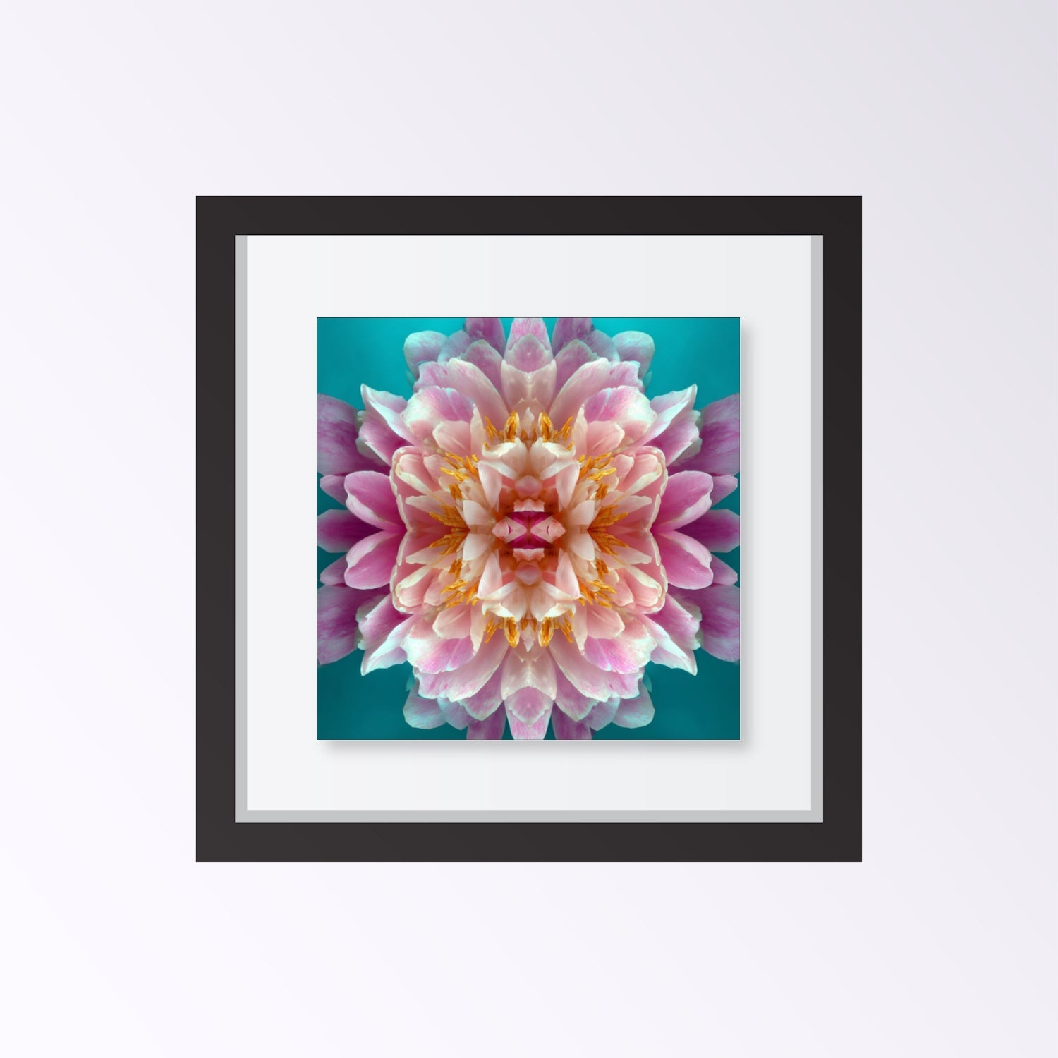 Peony in Aqua print – bold pink peonies on turquoise backdrop, striking floral artwork framed black