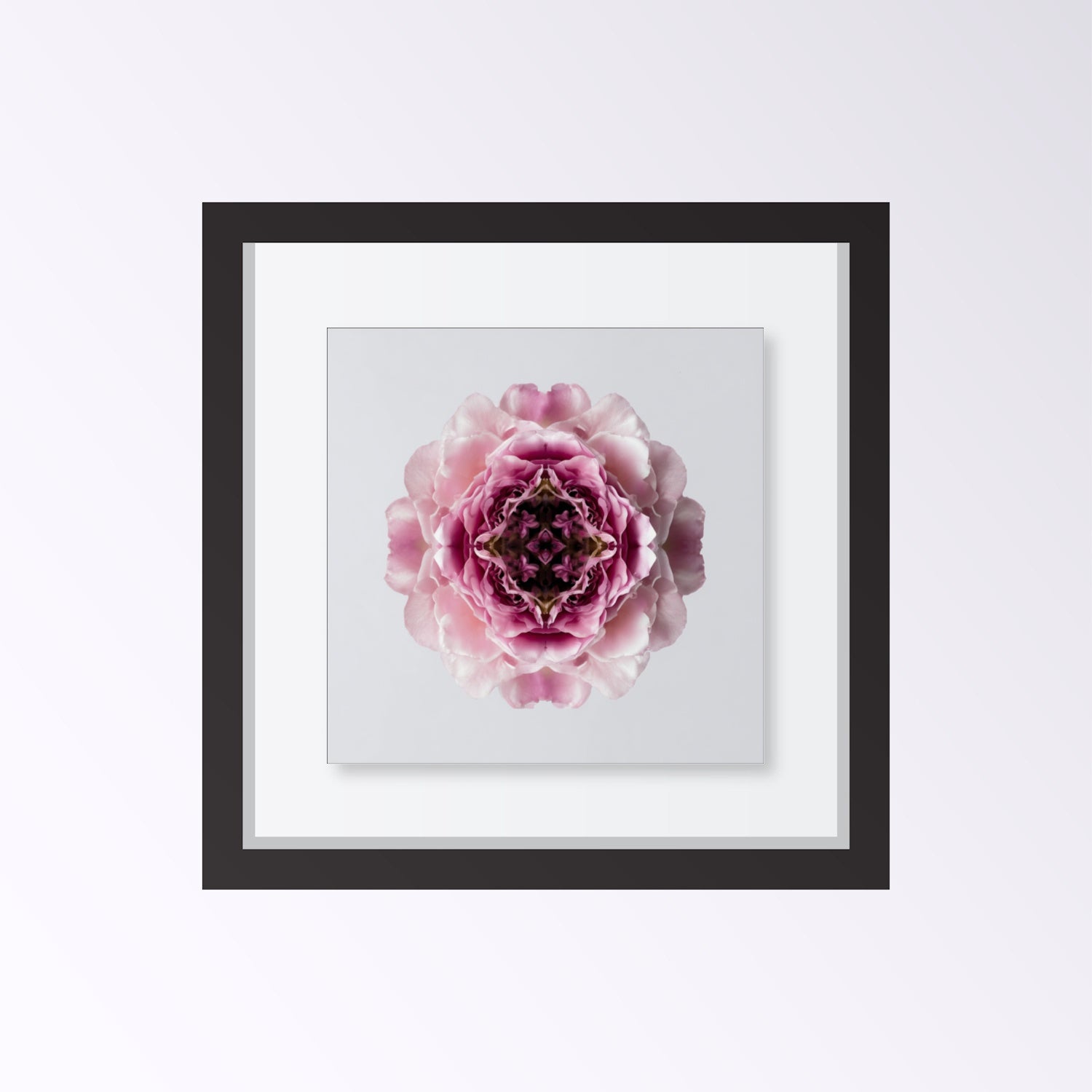 Blush Rose print – delicate pink layered petals in symmetry, romantic floral wall art framed black
