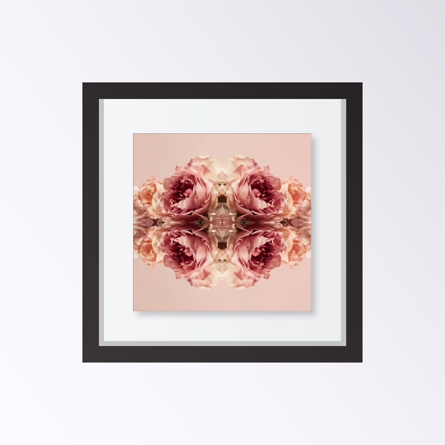 Rose Reflection art print with mirrored blush roses, modern botanical wall decor framed black