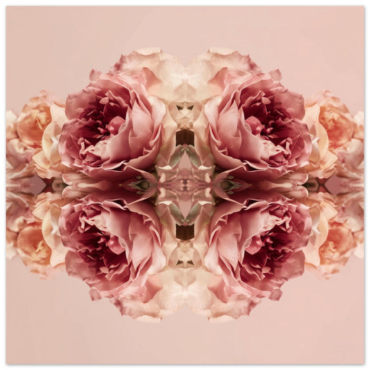 Rose Reflection art print with mirrored blush roses, modern botanical wall decor close up