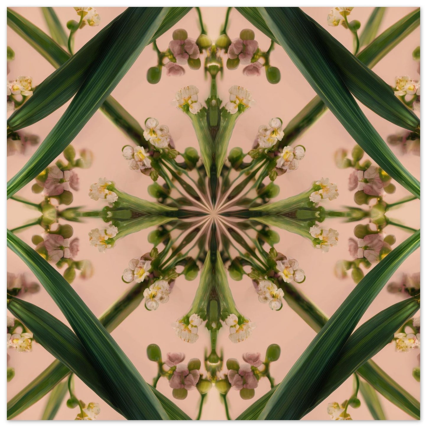 Botanical Design print – green stems and buds in mandala form on blush, modern botanical nature-inspired wall decor close up