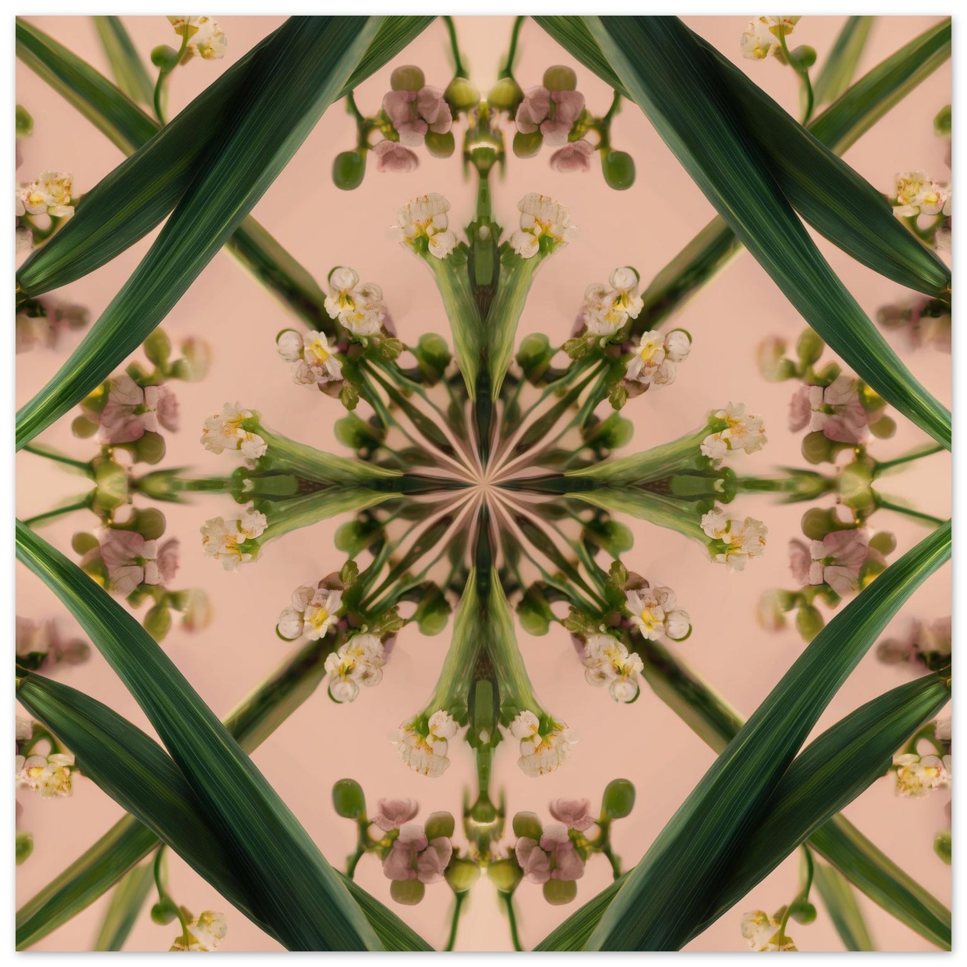 Botanical Design print – green stems and buds in mandala form on blush, modern botanical nature-inspired wall decor close up