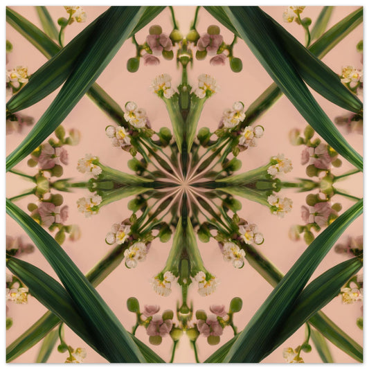 Botanical Design print – green stems and buds in mandala form on blush, modern botanical nature-inspired wall decor close up
